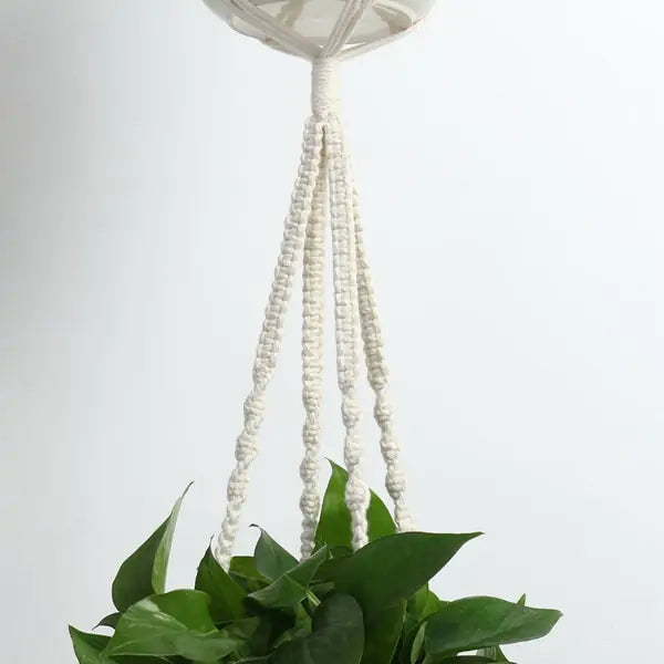 Handwoven Plant Hangers