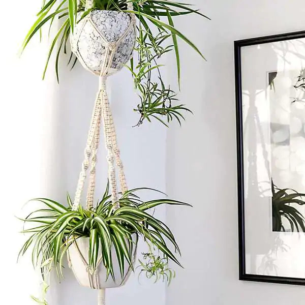 Handwoven Plant Hangers